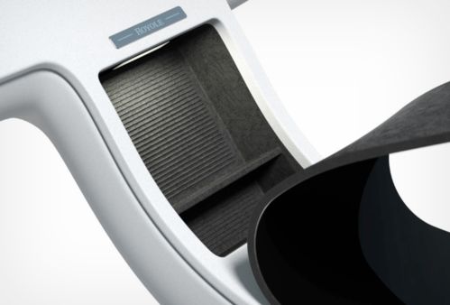 King Charles Cavalier